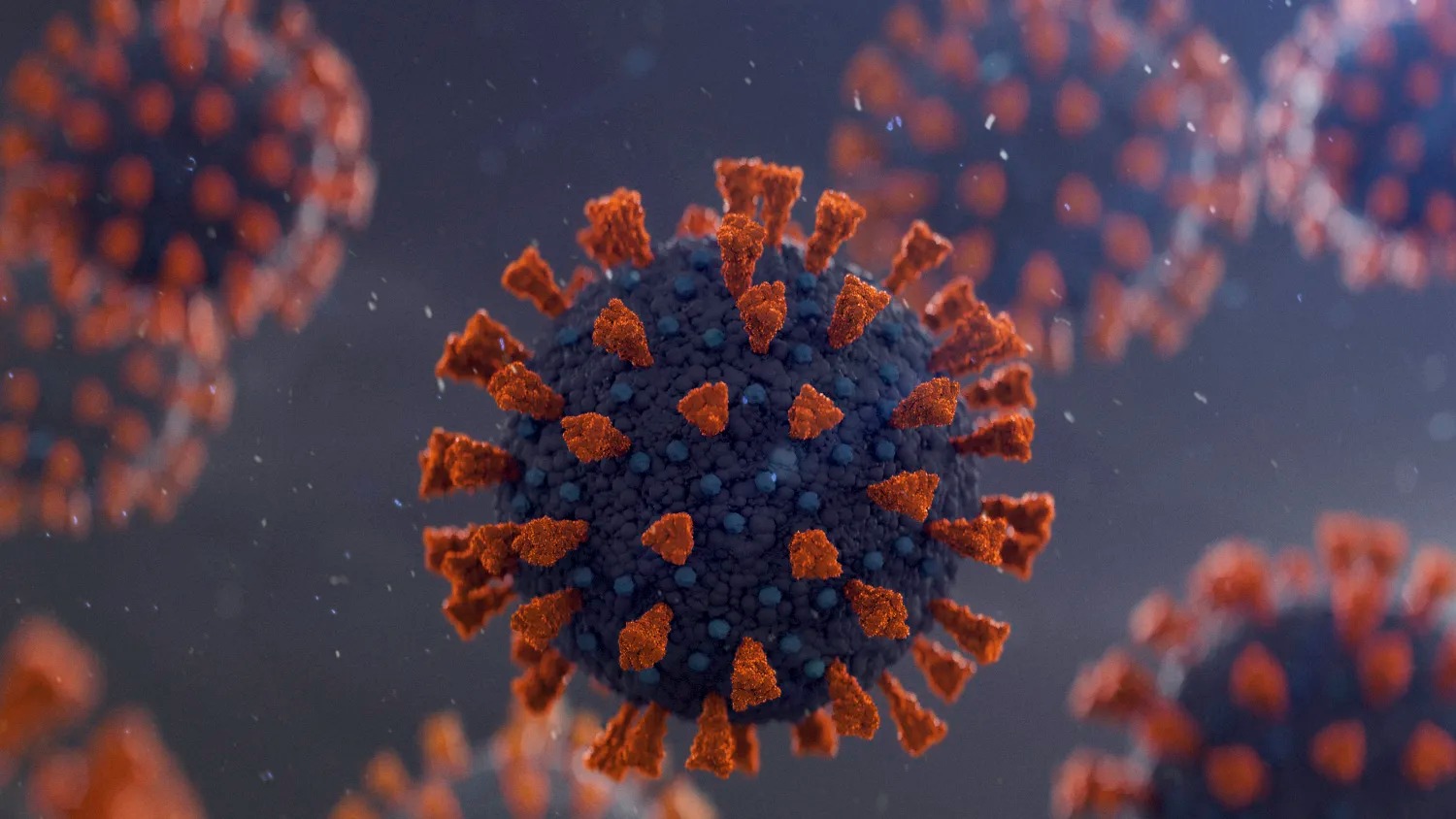 e31df19c dc9e 4a3e be2e ce953517